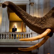 Scott Dahl is the Inspector General at the Smithsonian Institution.